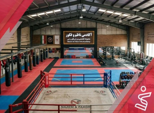 آکادمی ناظم و فکور
