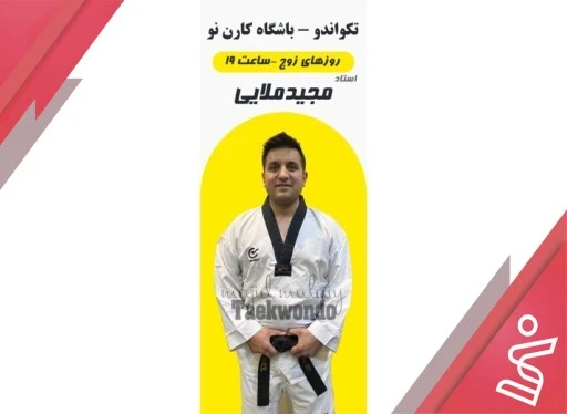 تکواندو آقایان 12 جلسه | زوج 19 تا 20:15 (آقای مجید ملایی)-باشگاه کارن نو